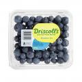 Coles Blueberries