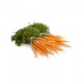 Coles Dutch Carrots