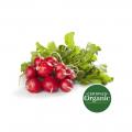 Coles Radish
