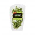 Coles Rosemary Punnet