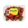 Driscoll's Fresh Strawberries